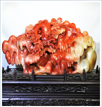 紅芙蓉洞石