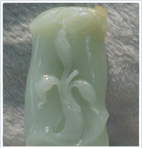 白玉竹節